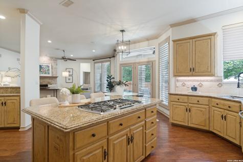 8 Aspen Creek Drive San Antonio TX 78248