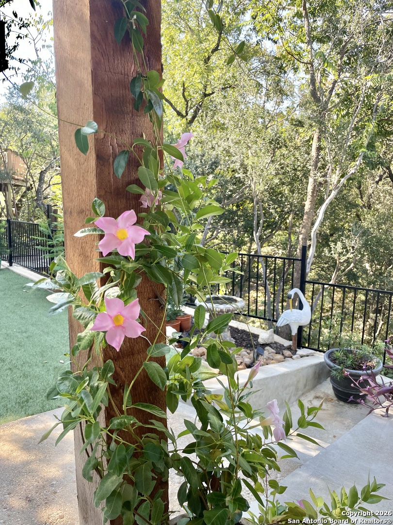 29607 Terra Bella Boerne TX 78015