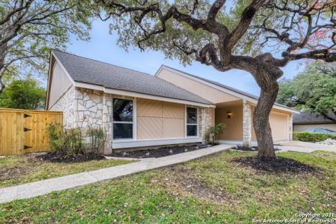 11903 Rainwood Cove San Antonio TX 78213