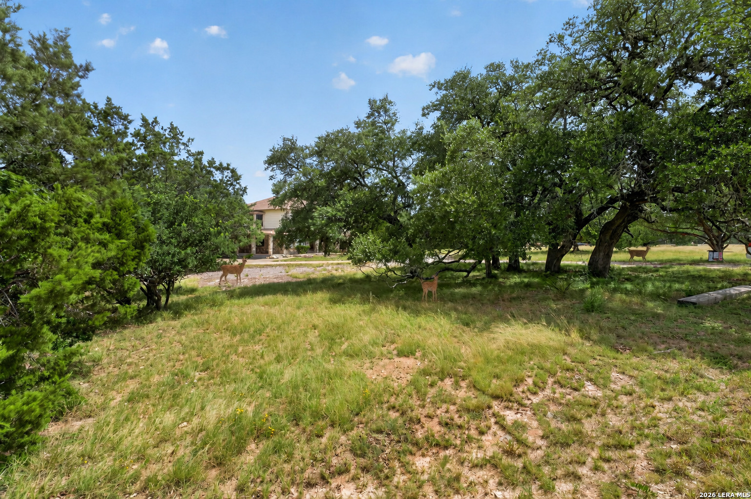 988 Summit Road Lakehills TX 78063