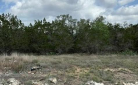 183 Fossil Spring Branch TX 78070