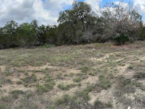 183 Fossil Spring Branch TX 78070