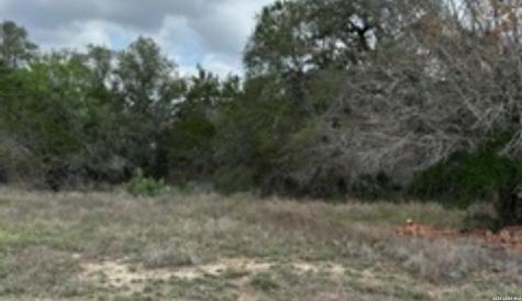 183 Fossil Spring Branch TX 78070