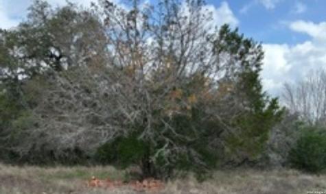 183 Fossil Spring Branch TX 78070