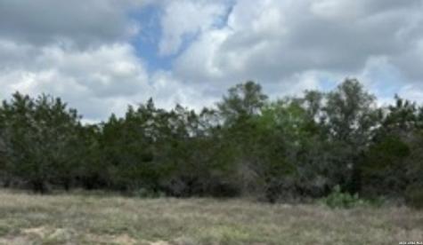 183 Fossil Spring Branch TX 78070