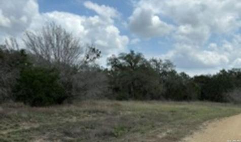183 Fossil Spring Branch TX 78070