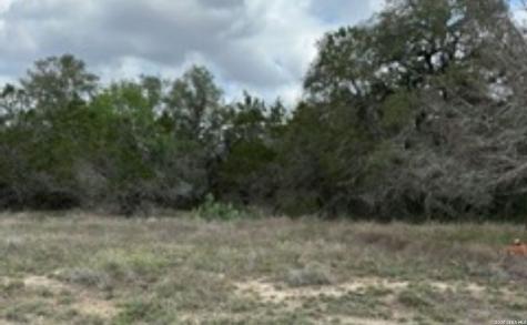 183 Fossil Spring Branch TX 78070