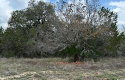 183 Fossil Spring Branch TX 78070