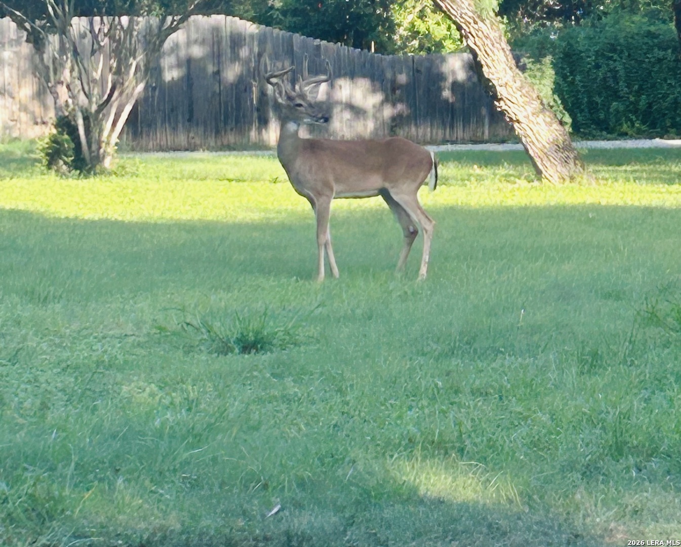4035 Sleepy Hollow San Antonio TX 78230