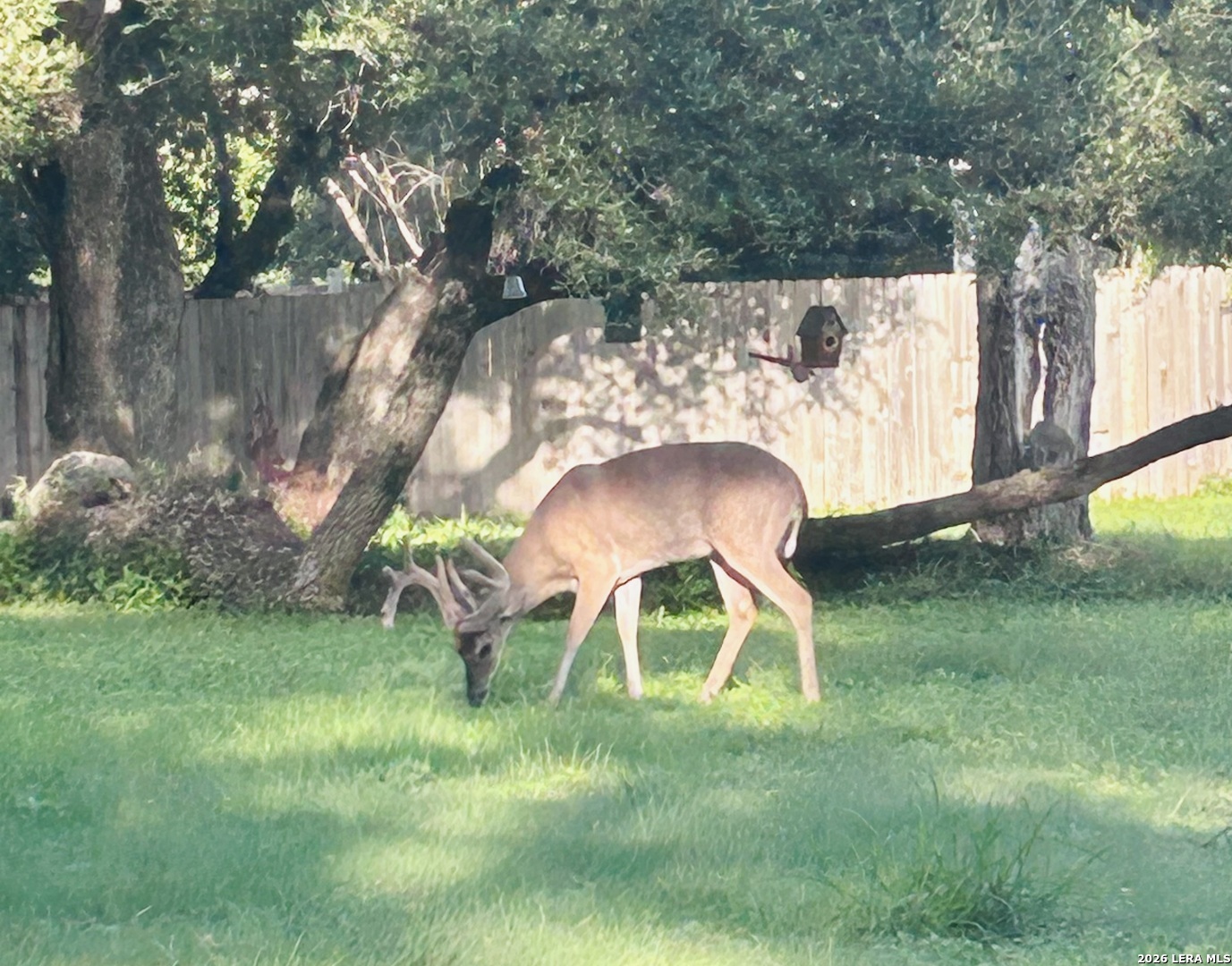 4035 Sleepy Hollow San Antonio TX 78230