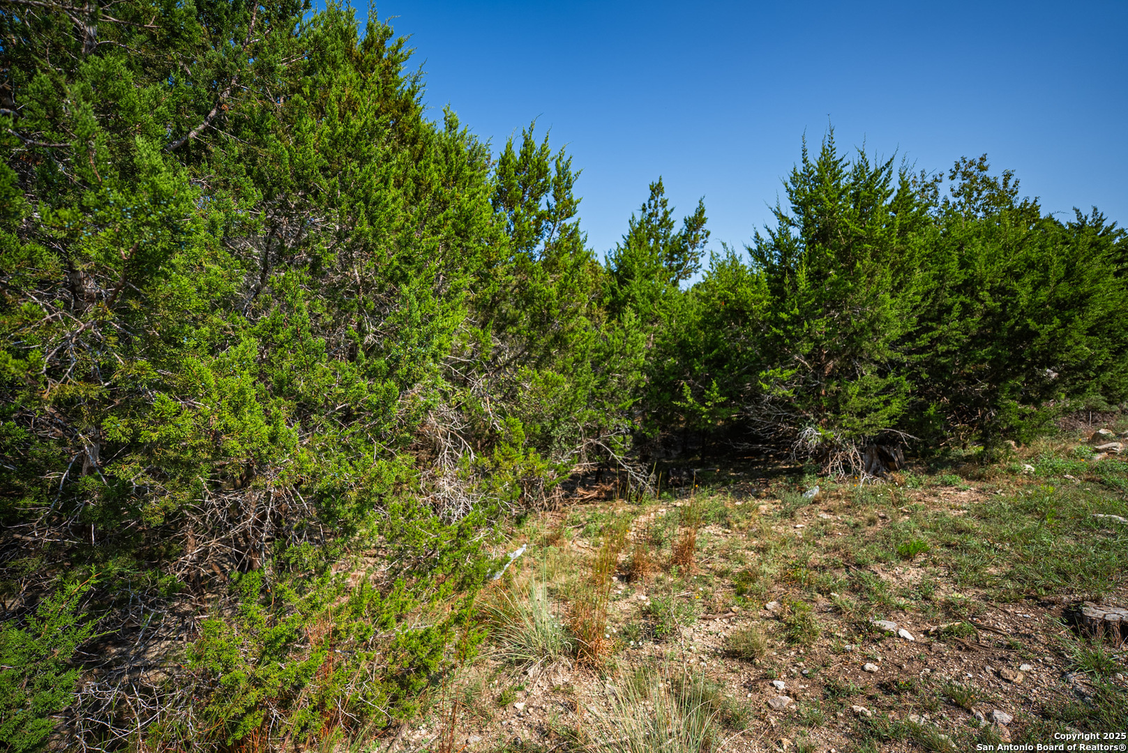 1121 Sleepy Hollow Spring Branch TX 78070