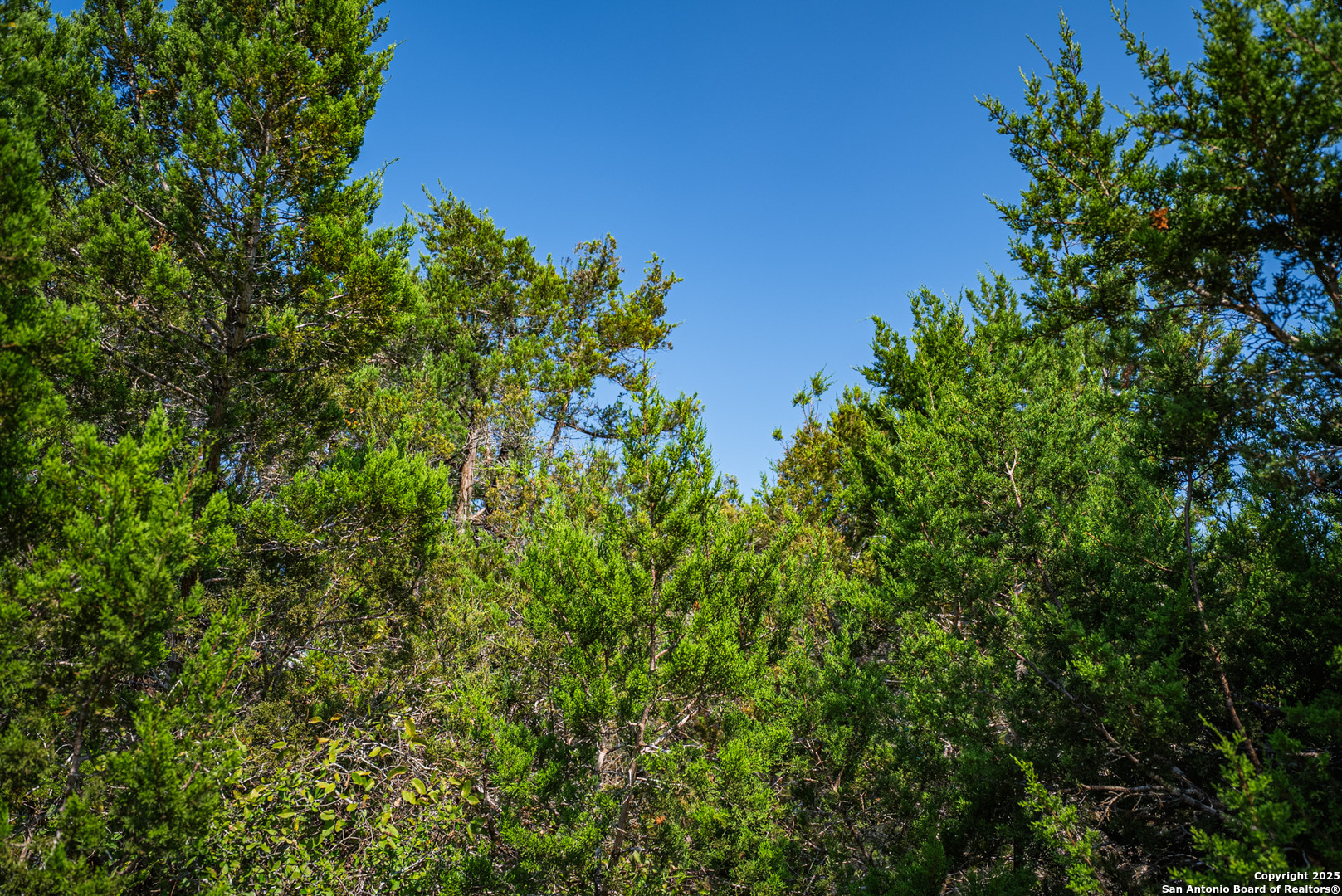 1121 Sleepy Hollow Spring Branch TX 78070