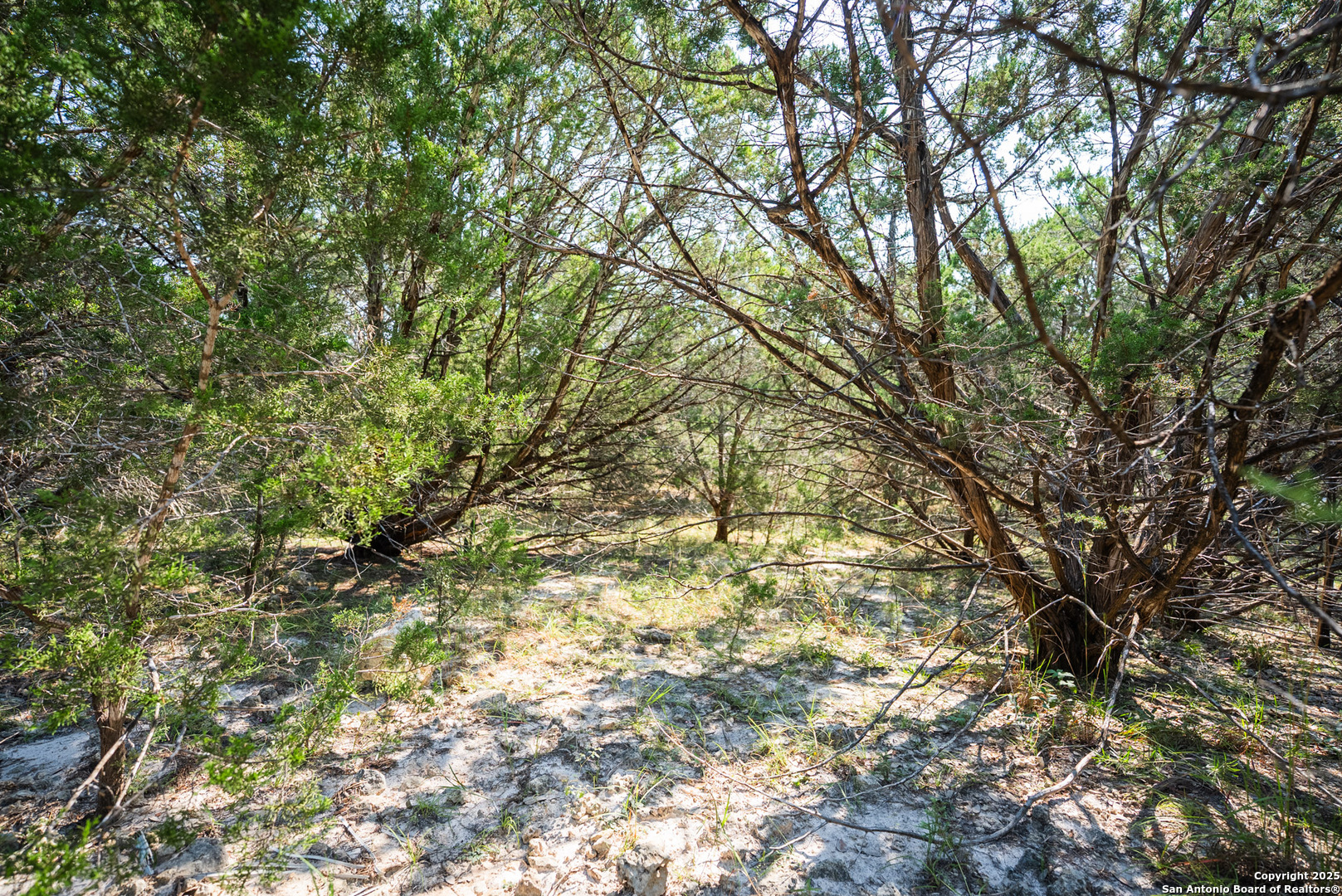 1121 Sleepy Hollow Spring Branch TX 78070