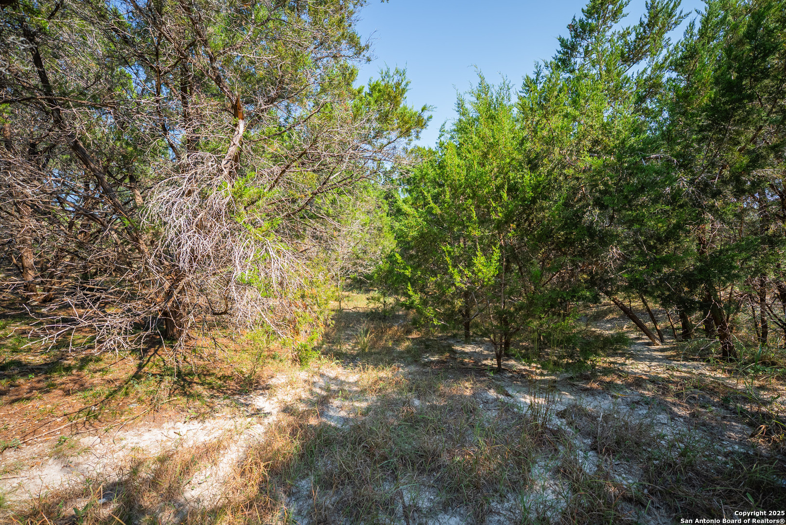 1121 Sleepy Hollow Spring Branch TX 78070
