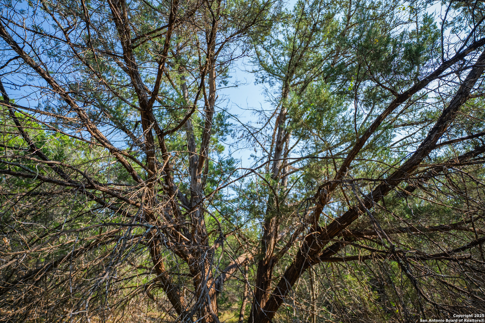 1121 Sleepy Hollow Spring Branch TX 78070