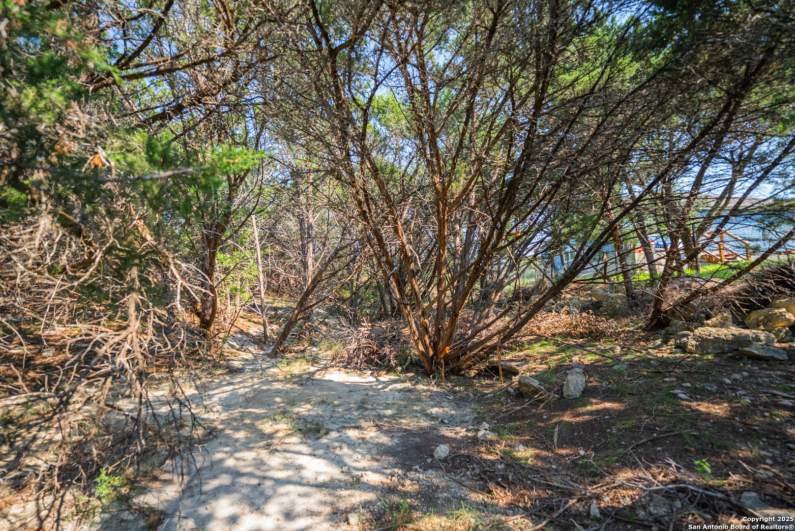 1121 Sleepy Hollow Spring Branch TX 78070