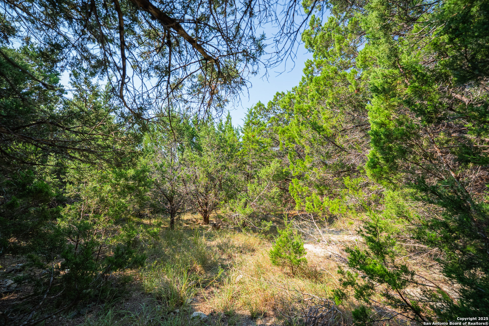 1121 Sleepy Hollow Spring Branch TX 78070