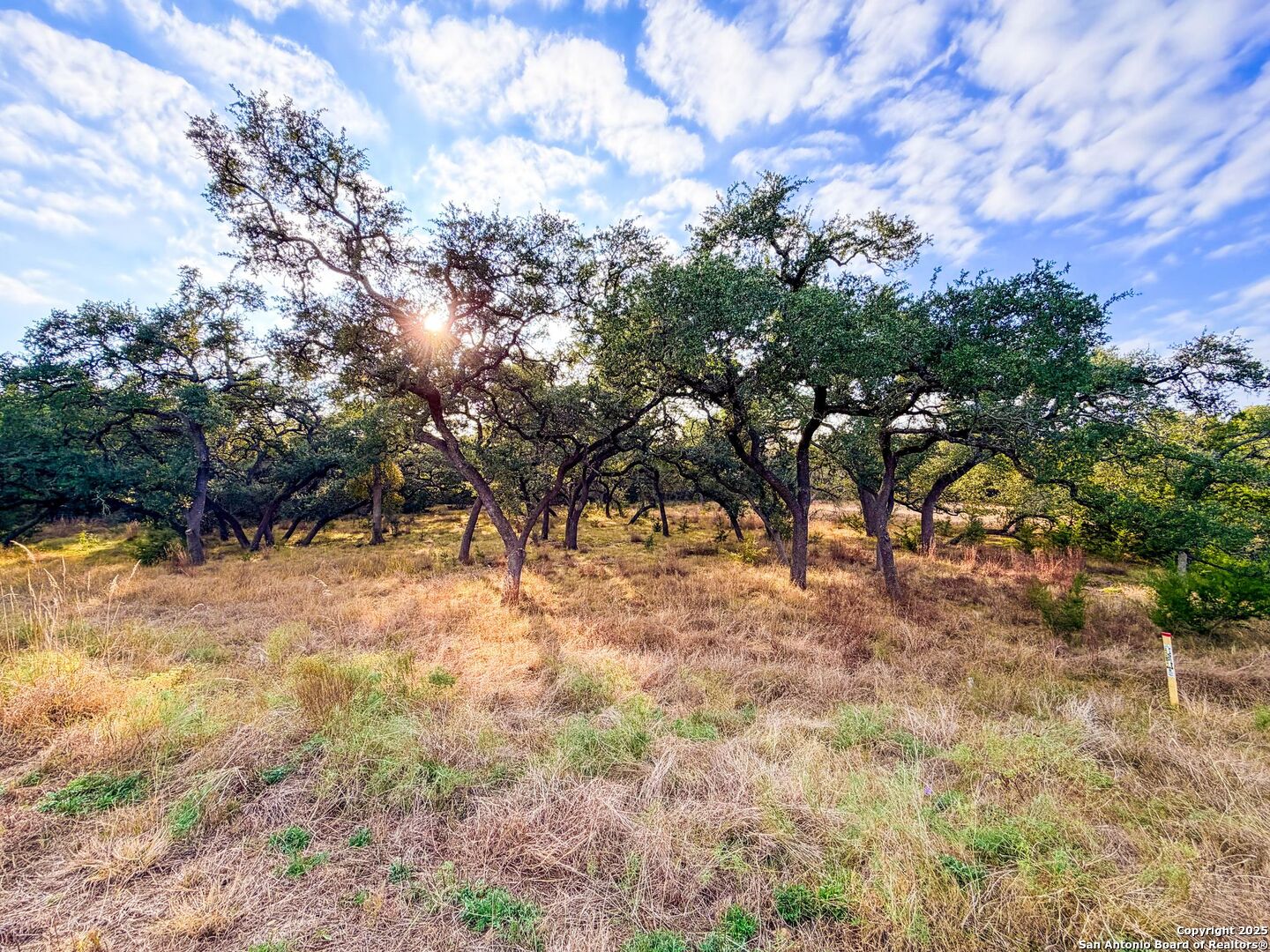 34815 Last Stage Way Bulverde TX 78163