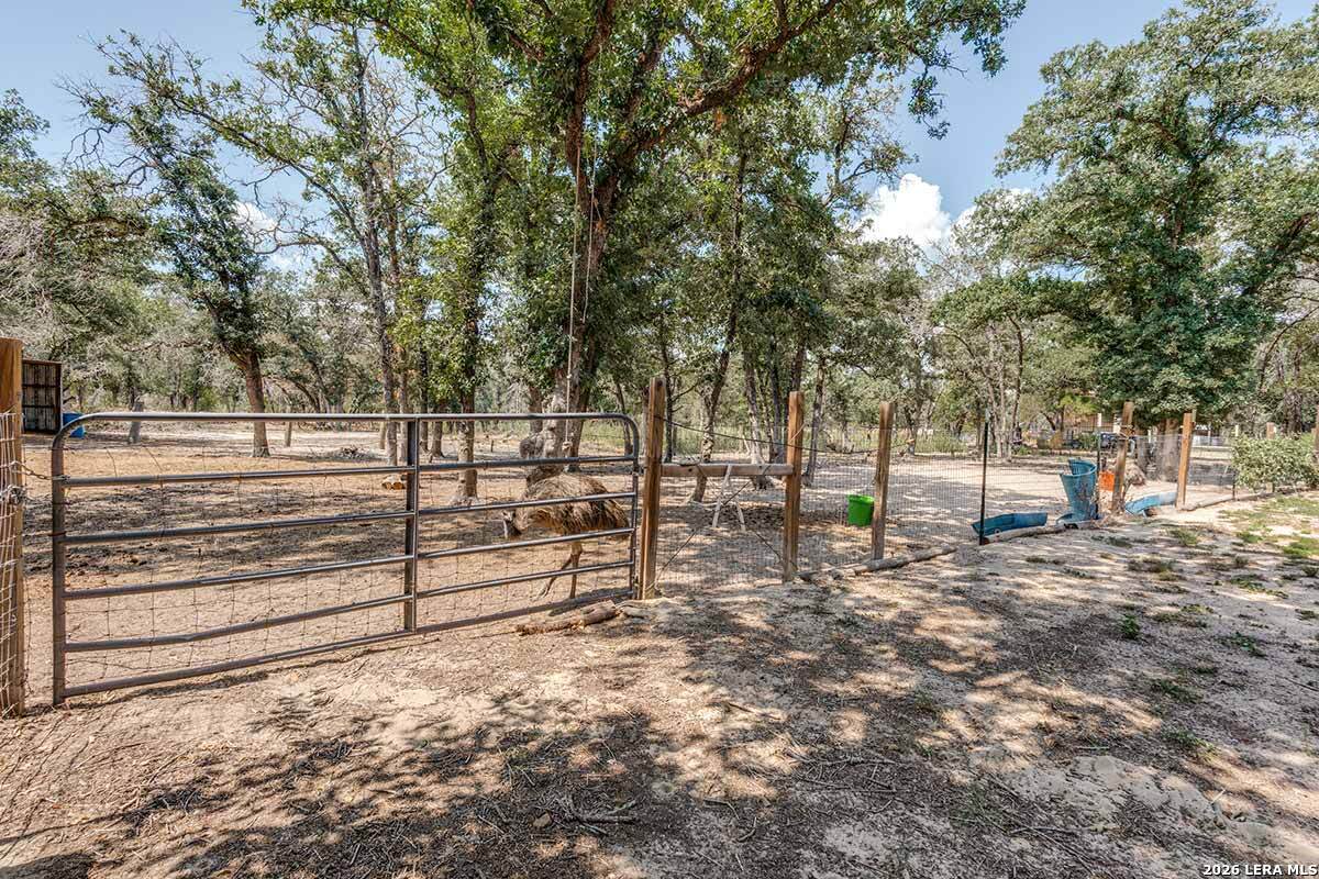 200 Oak Hollow Drive La Vernia TX 78121