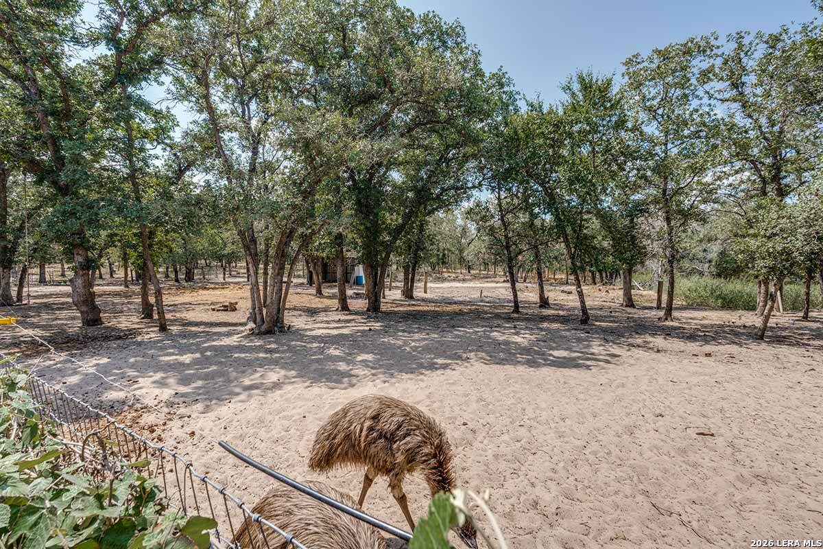 200 Oak Hollow Drive La Vernia TX 78121