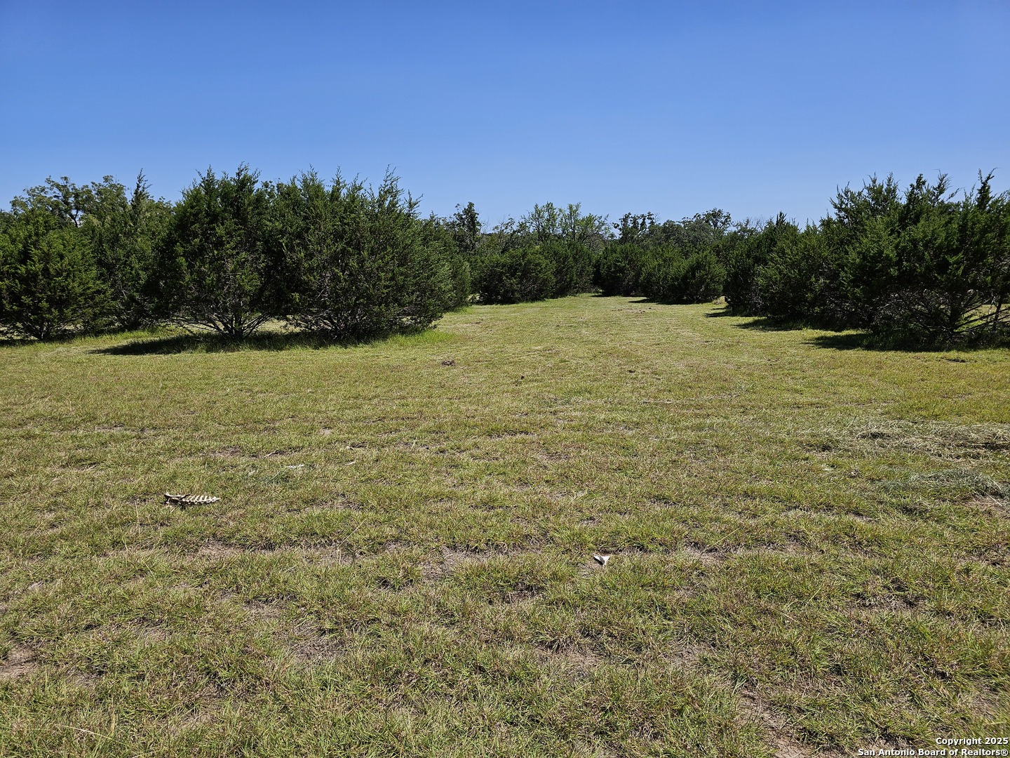 Lot 155 La Luna Drive Blanco TX 78606