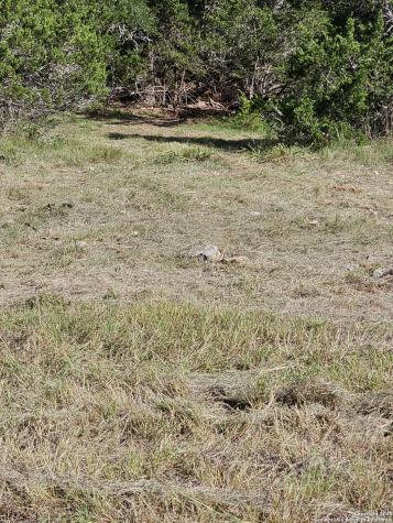 Lot 155 La Luna Drive Blanco TX 78606