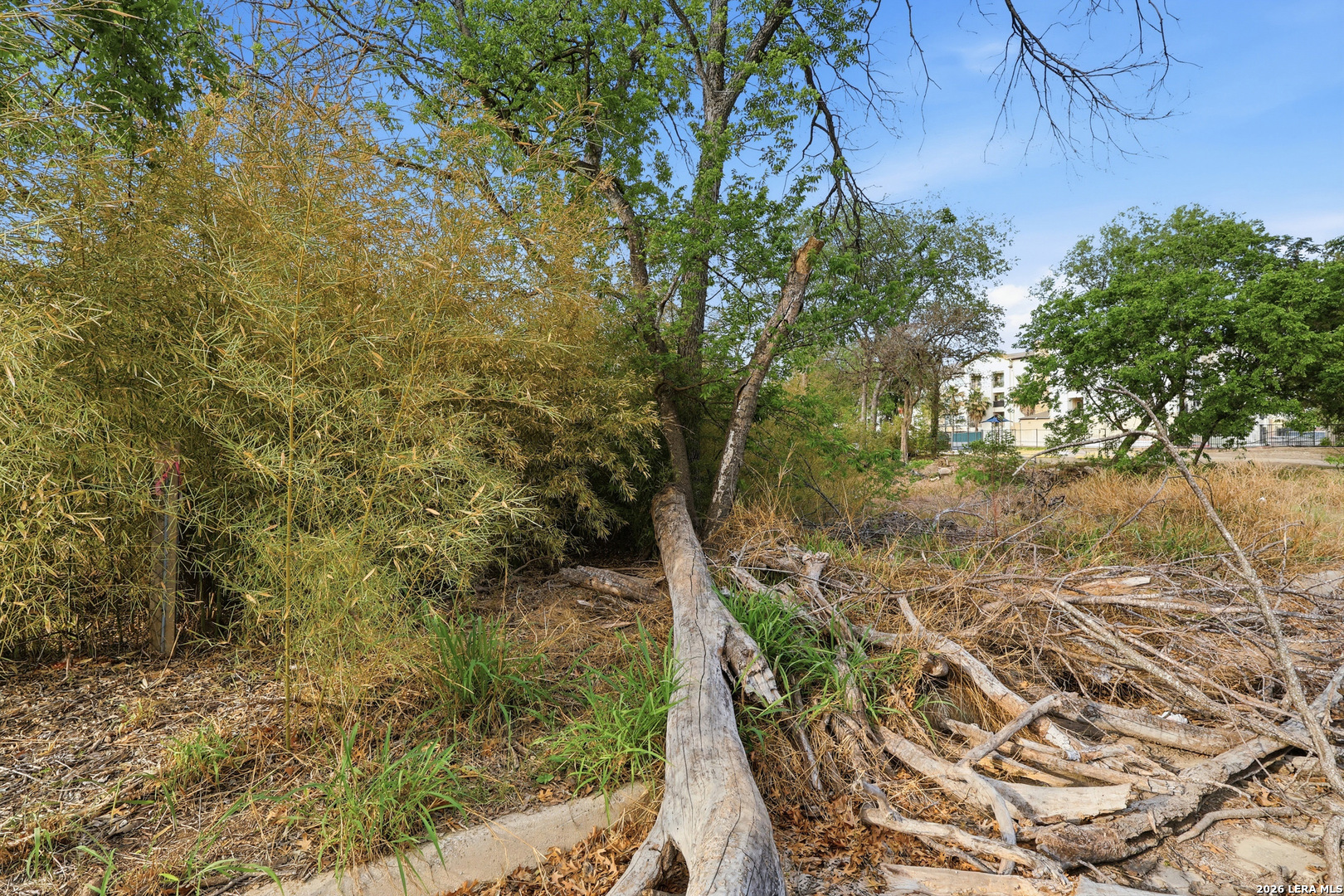 124 Mckay Avenue San Antonio TX 78204