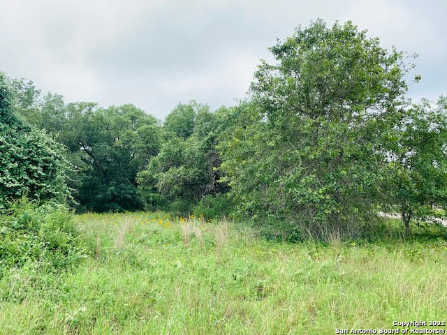 163 Country Acres Drive Adkins TX 78101