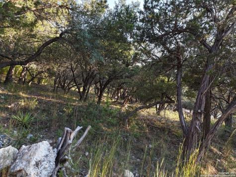1167 Hancock Road Canyon Lake TX 78133