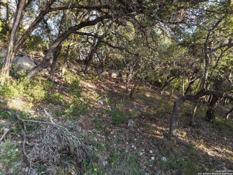 1167 Hancock Road Canyon Lake TX 78133