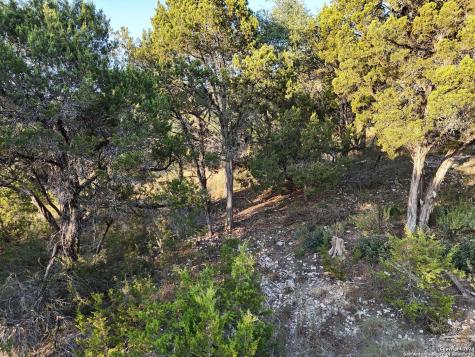 1167 Hancock Road Canyon Lake TX 78133