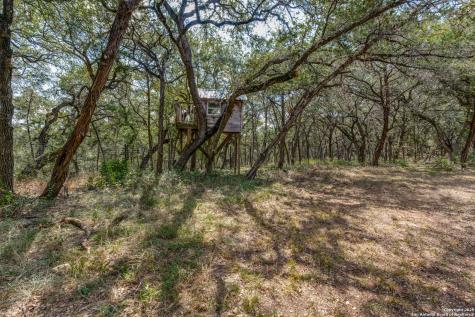25867 Lewis Ranch Road New Braunfels TX 78132