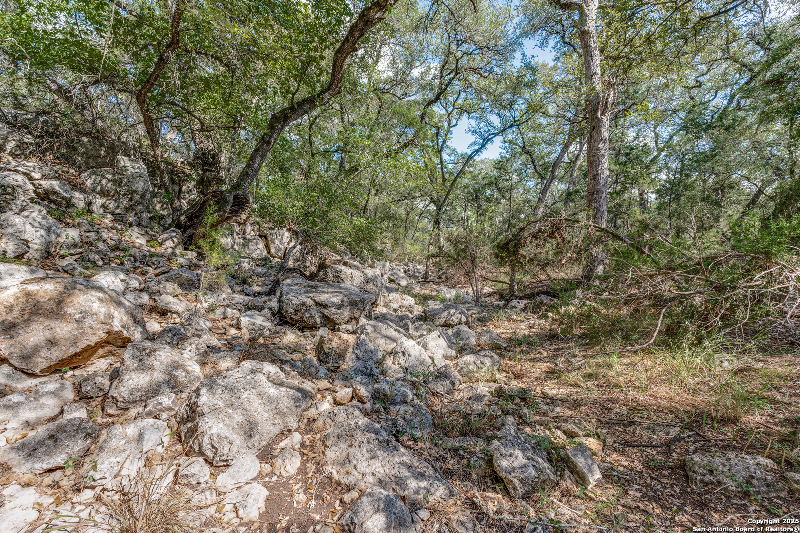 25867 Lewis Ranch Road New Braunfels TX 78132