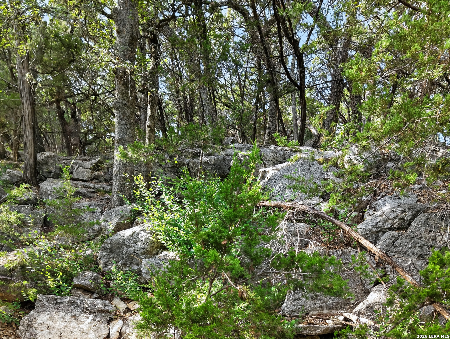 25867 Lewis Ranch Road New Braunfels TX 78132