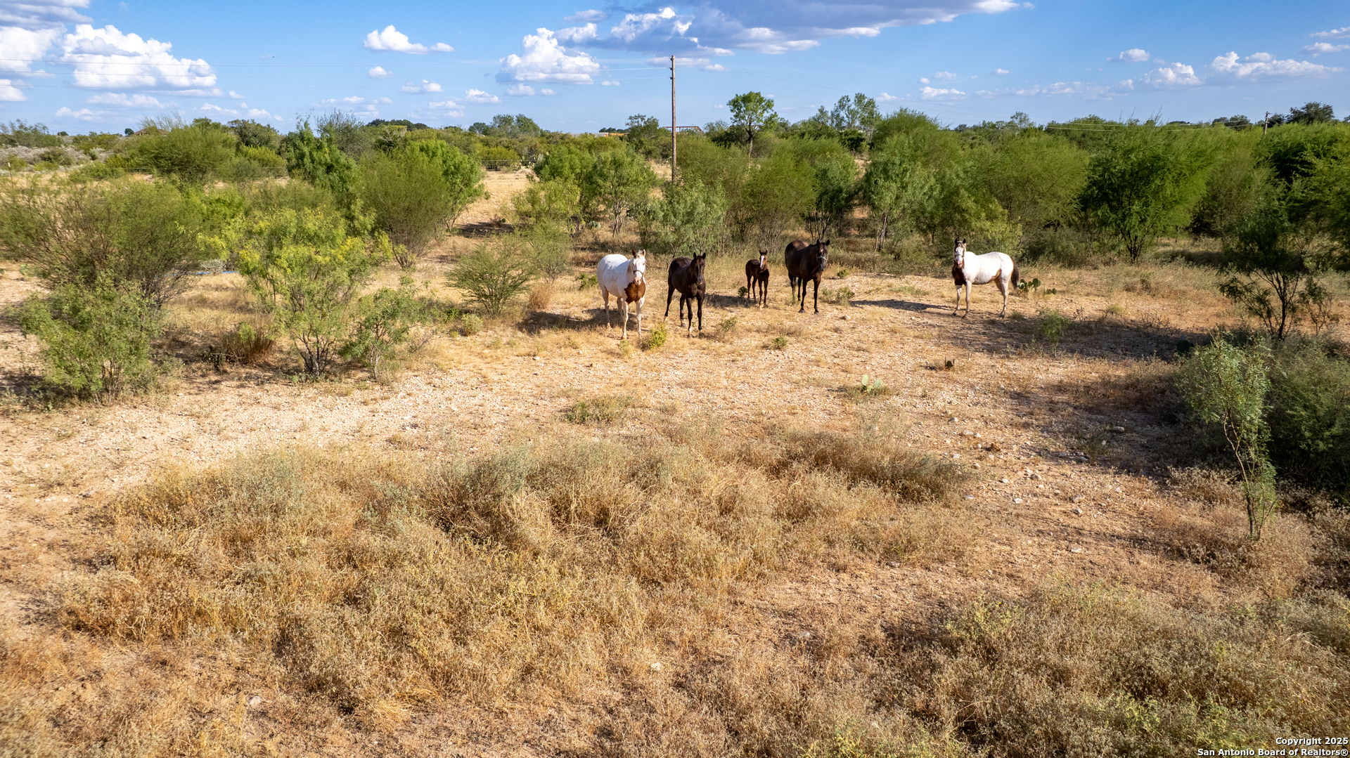 Tbd N Camp Uvalde TX 78801