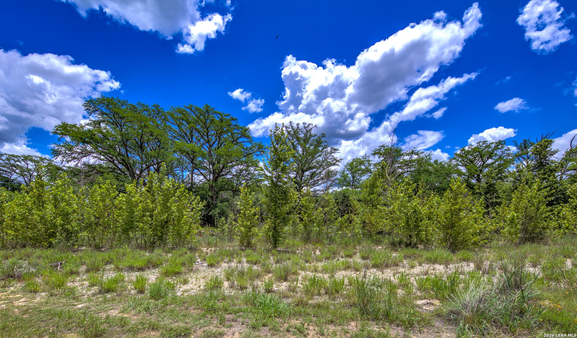 751 Fm 337 Medina TX 78055