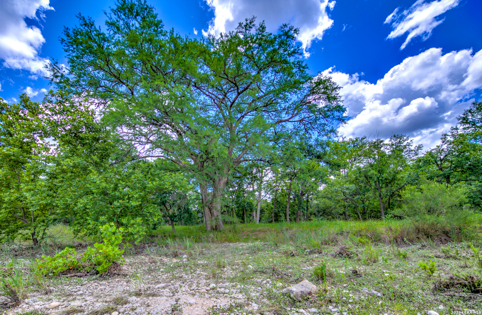 751 Fm 337 Medina TX 78055