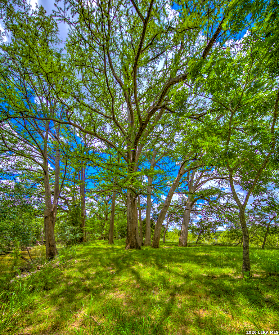 751 Fm 337 Medina TX 78055