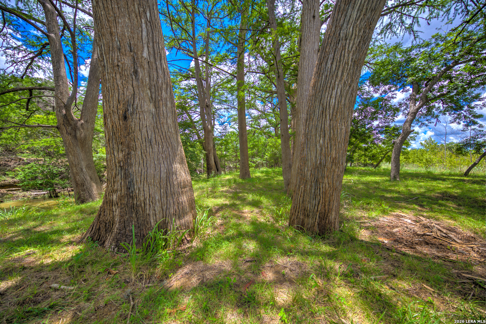 751 Fm 337 Medina TX 78055