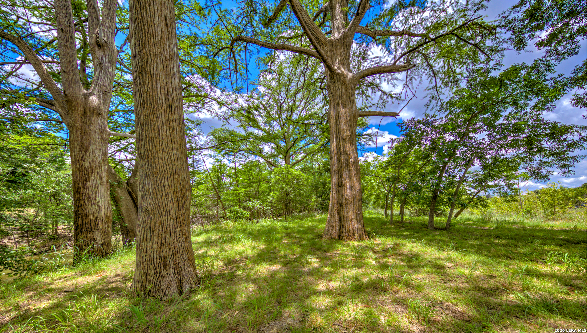 751 Fm 337 Medina TX 78055