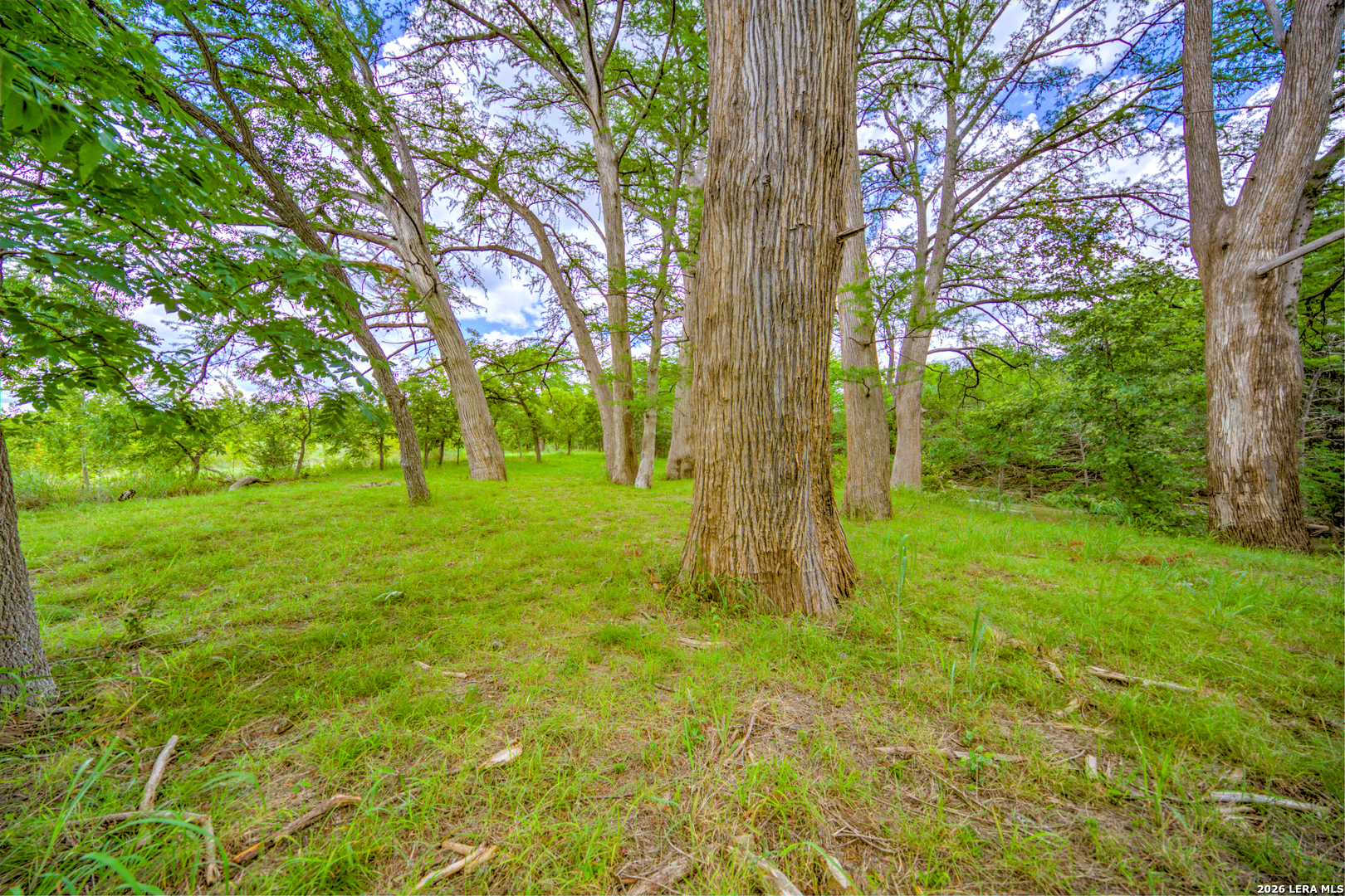 751 Fm 337 Medina TX 78055