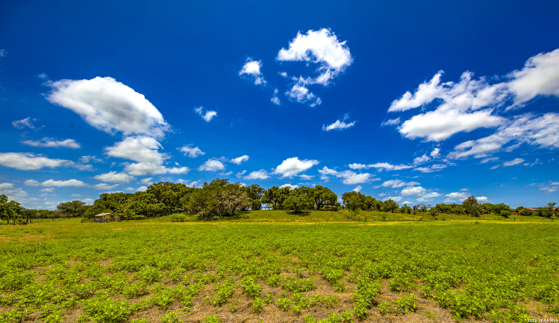 751 Fm 337 Medina TX 78055