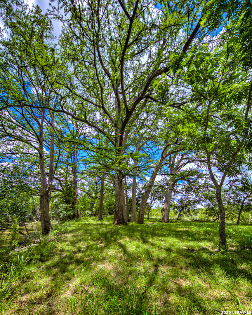 751 Fm 337 Medina TX 78055