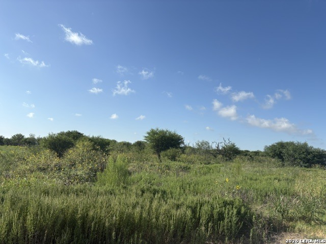 129 Persimmon Trail Marion TX 78124