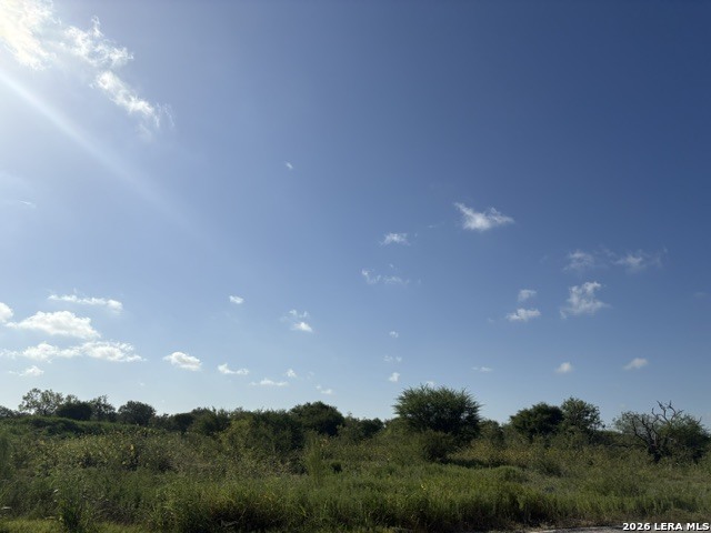 129 Persimmon Trail Marion TX 78124
