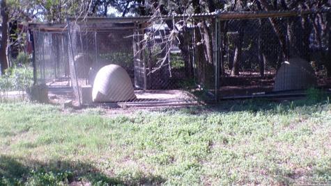 1036 Hilltop Road Beeville TX 78102