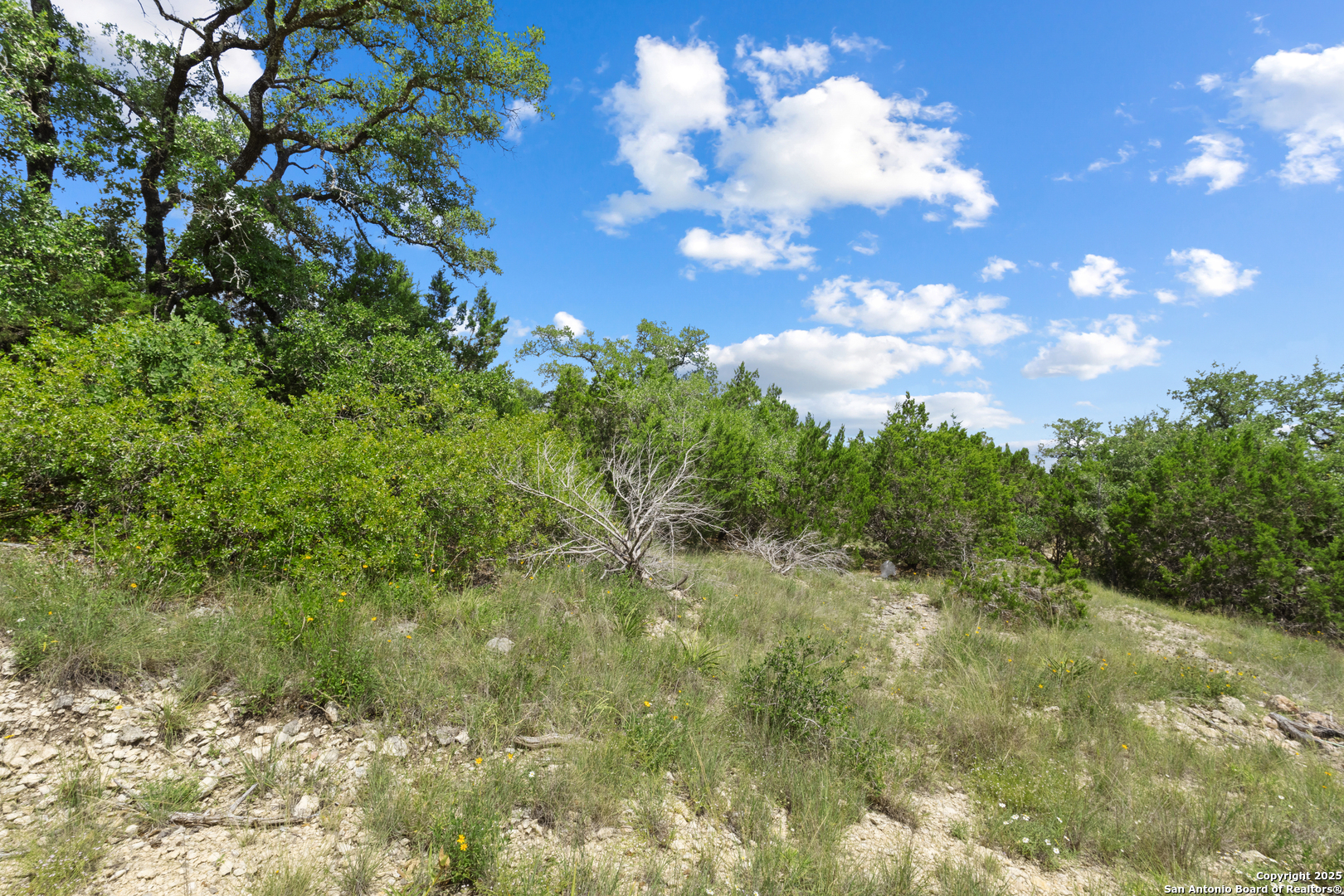 23322 Cawley Run San Antonio TX 78255