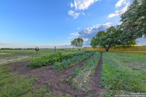15592 Miller St Hedwig TX 78152