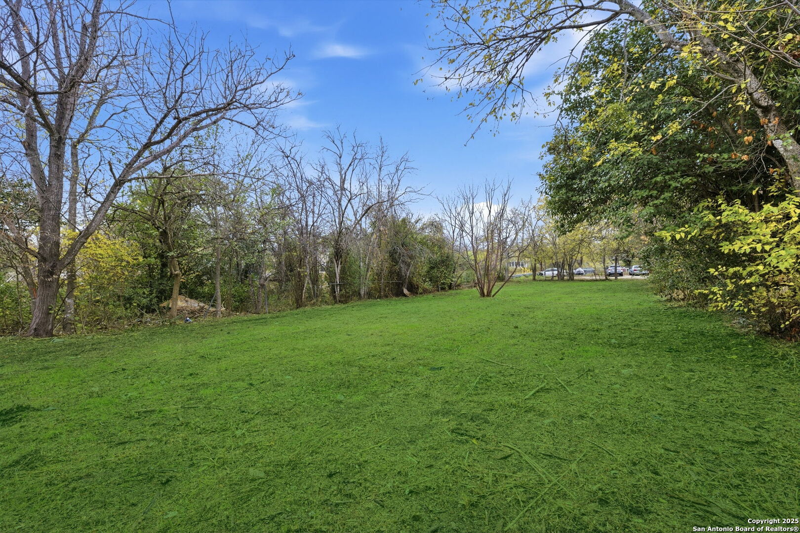 120 Coleman San Antonio TX 78208
