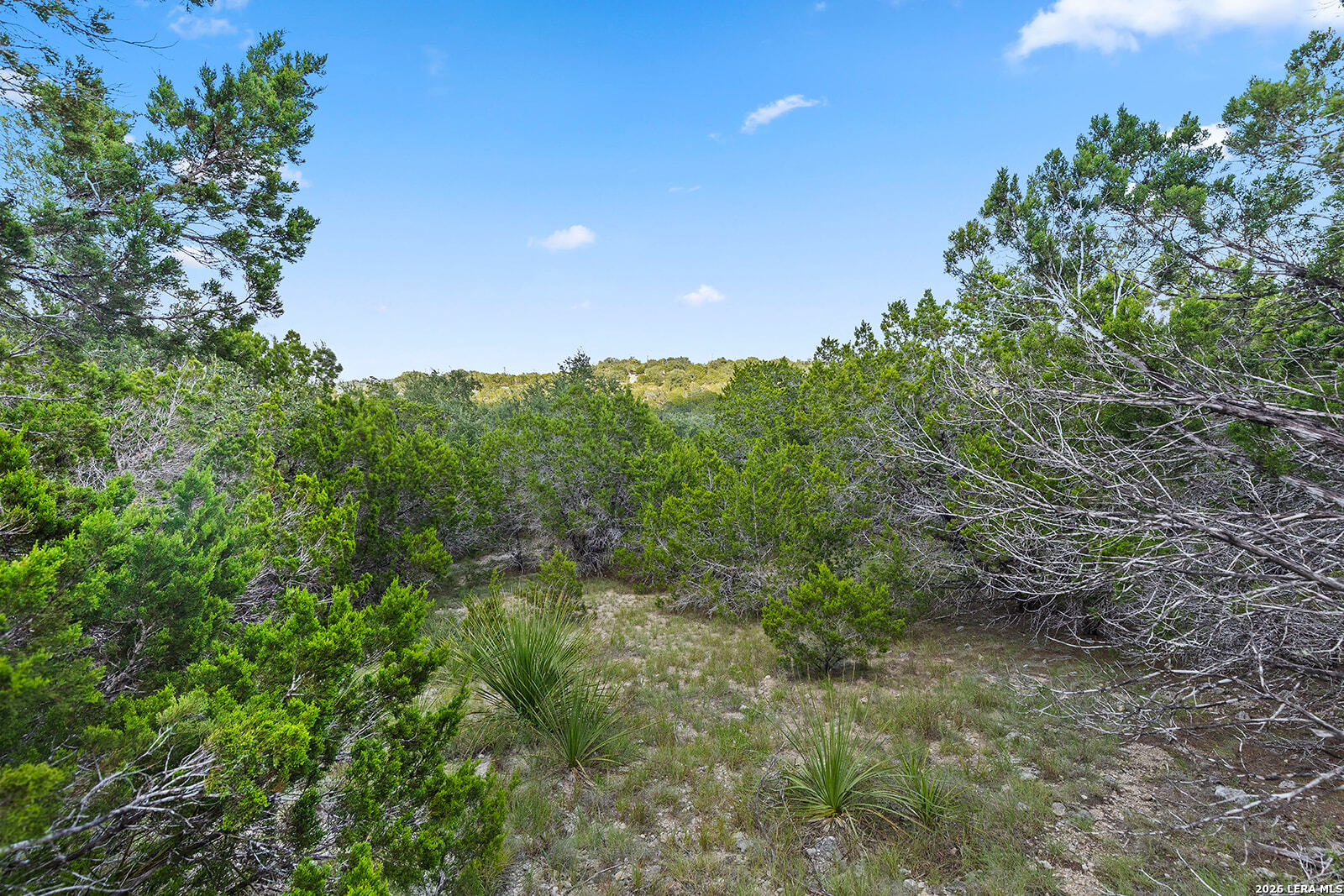 4049 Fire Candle Spring Branch TX 78070